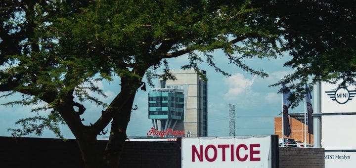 Un árbol frente a un letrero de "NOTICE" y edificios de fondo bajo un cielo azul.
